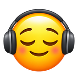 Noise Cancelling
